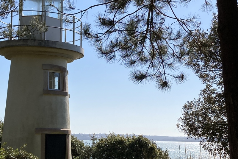 Lepe House Gardens